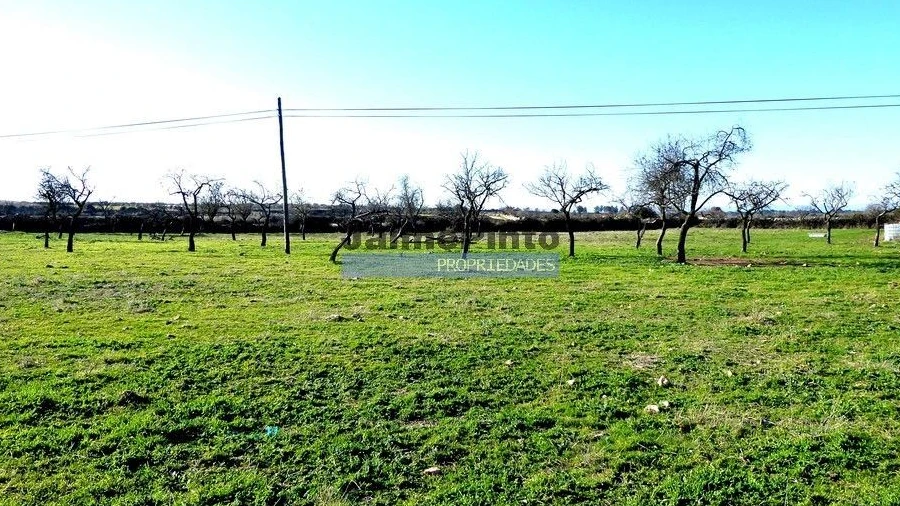 Terreno para Venda em Figueira de Castelo Rodrigo