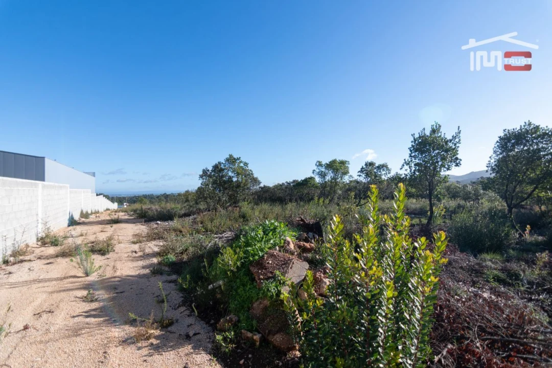 Terreno Agricola ou Rústico para Arrendamento em Fatima Foto 11