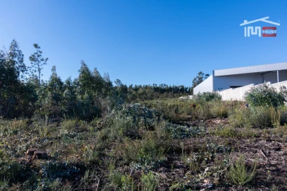 Terreno Agricola ou Rústico para Arrendamento em Fatima