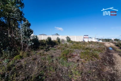 Terreno Agricola ou Rústico para Arrendamento em Fatima