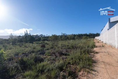 Terreno Agricola ou Rústico para Arrendamento em Fatima