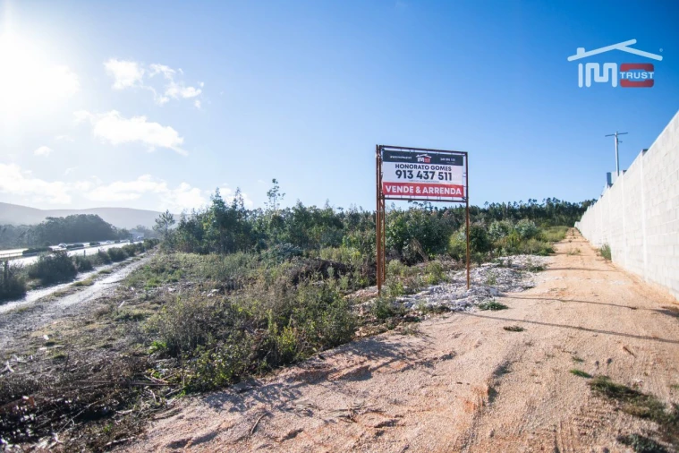 Terreno Agricola ou Rústico para Arrendamento em Fatima Foto 3