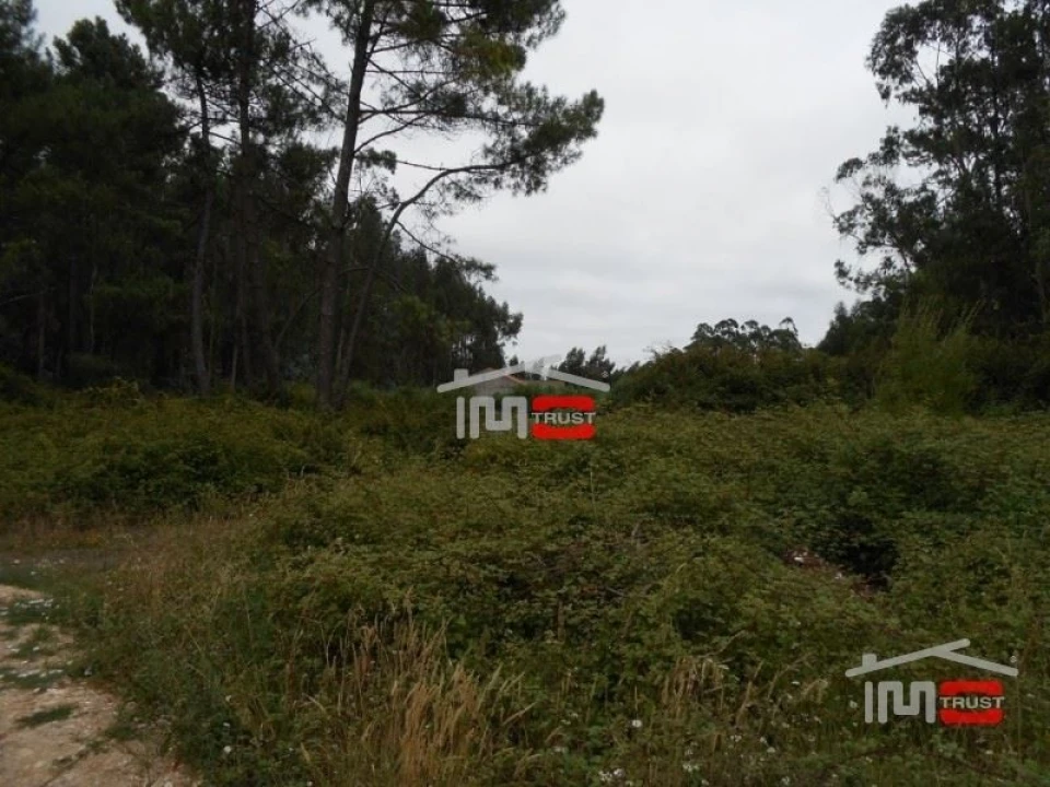 Moradia T8 para Venda em Fatima Foto 15