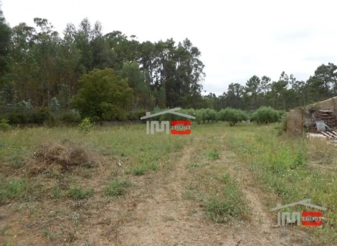 Moradia T8 para Venda em Fatima Foto 10