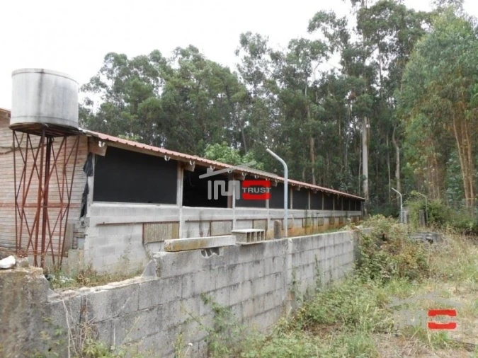 Moradia T8 para Venda em Fatima Foto 11