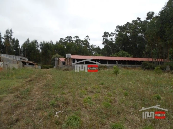 Moradia T8 para Venda em Fatima Foto 13