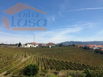 Quinta T5 para Venda em Fontelas