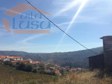 Quinta T5 para Venda em Fontelas