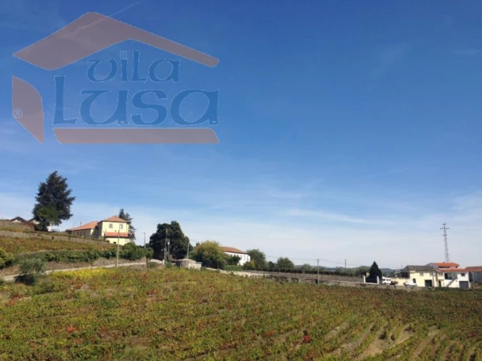 Quinta T5 para Venda em Fontelas Foto 13