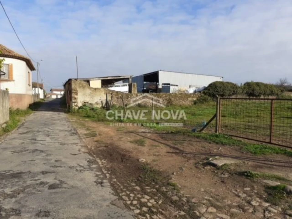Terreno P/ Prédio para Venda em Loureiro Foto 1