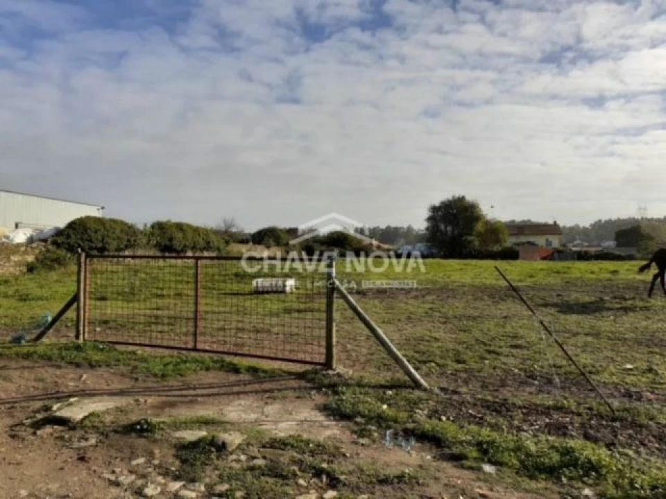 Terreno P/ Prédio para Venda em Loureiro Foto 4