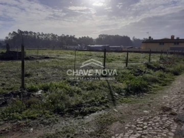 Terreno P/ Prédio para Venda em Loureiro