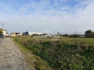 Terreno P/ Prédio para Venda em Loureiro