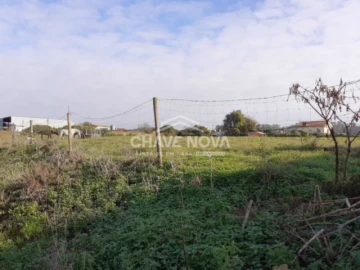 Terreno P/ Prédio para Venda em Loureiro