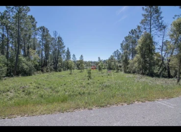 Terreno Misto para Venda em Pelma