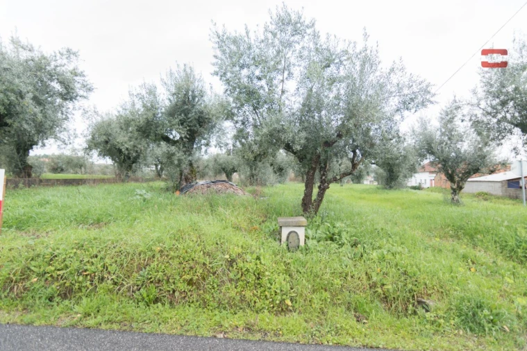 Terreno Agricola ou Rústico para Venda em Freixianda, Ribeira do Fárrio e Formigais Foto 2