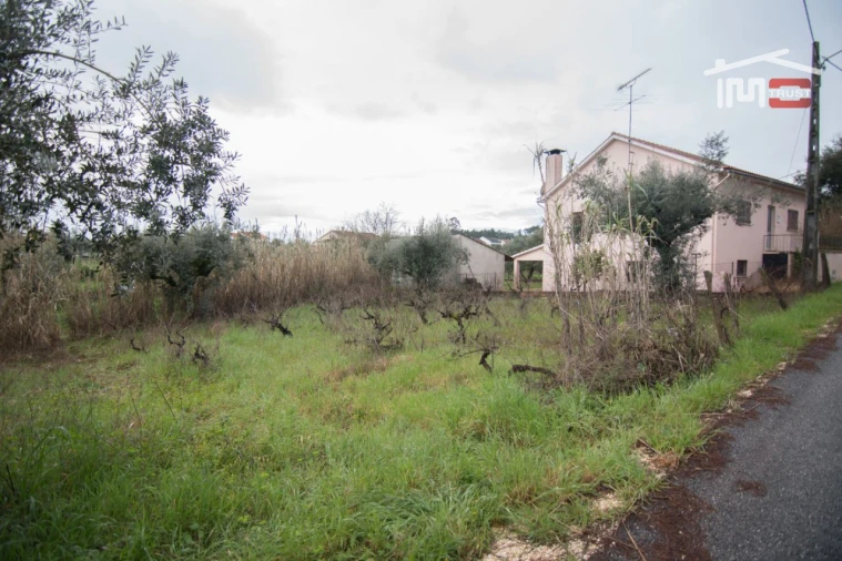 Terreno Agricola ou Rústico para Venda em Freixianda, Ribeira do Fárrio e Formigais Foto 4
