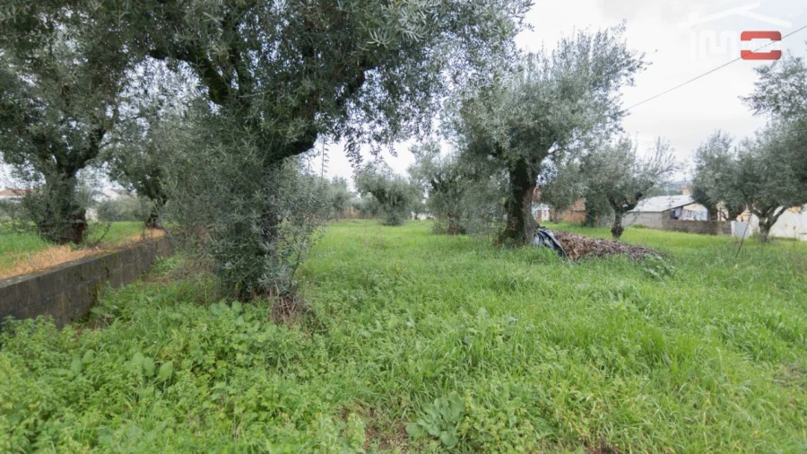 Terreno Agricola ou Rústico para Venda em Freixianda, Ribeira do Fárrio e Formigais