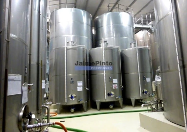 Terreno Agricola ou Rústico para Venda em Nossa Senhora da Conceição, São Pedro e São Dinis