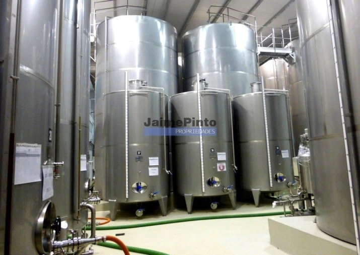 Terreno Agricola ou Rústico para Venda em Nossa Senhora da Conceição, São Pedro e São Dinis Foto 6