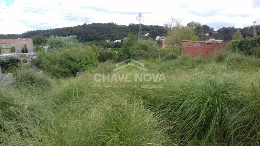 Terreno para Venda em Canelas Foto 4