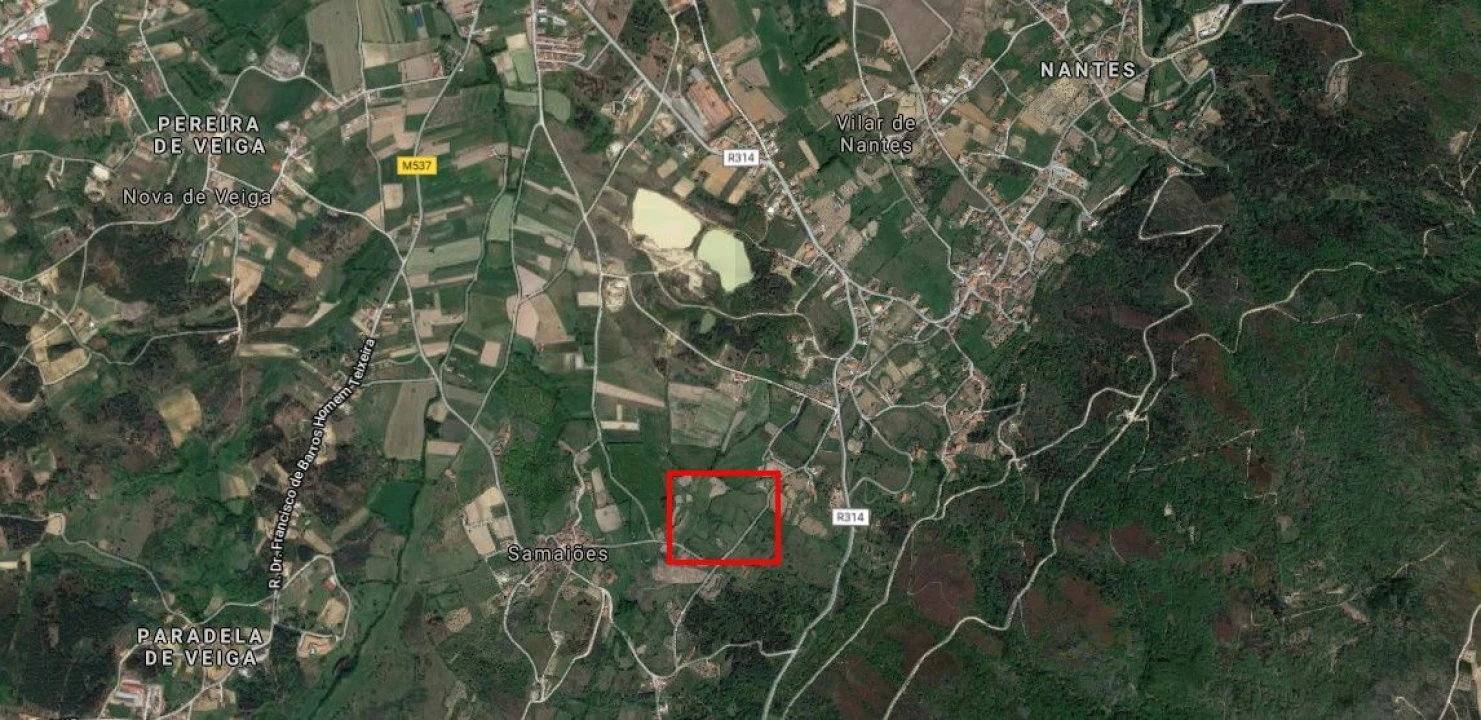 Terreno Agricola ou Rústico para Venda em Madalena e Samaiões Foto 1