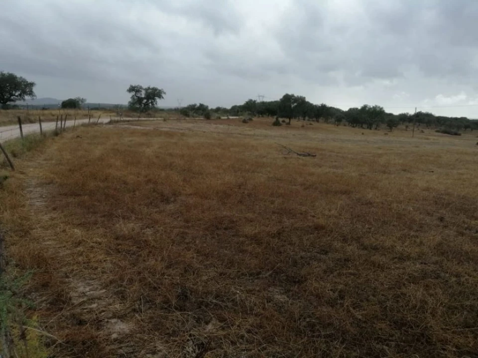 Terreno Agricola ou Rústico para Venda em Crato e Mártires, Flor da Rosa e Vale do Peso Foto 1