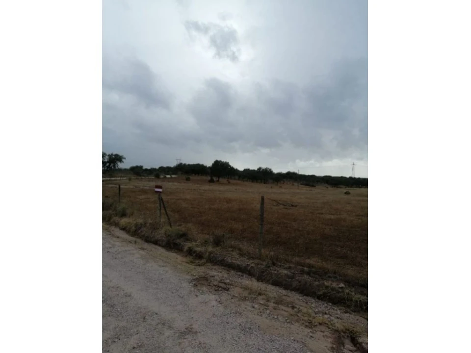 Terreno Agricola ou Rústico para Venda em Crato e Mártires, Flor da Rosa e Vale do Peso Foto 2