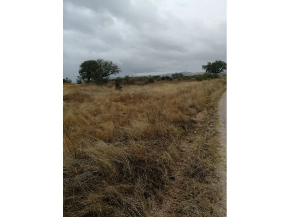 Terreno Agricola ou Rústico para Venda em Crato e Mártires, Flor da Rosa e Vale do Peso Foto 3