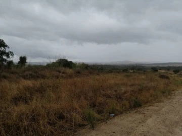 Terreno Agricola ou Rústico para Venda em Crato e Mártires, Flor da Rosa e Vale do Peso