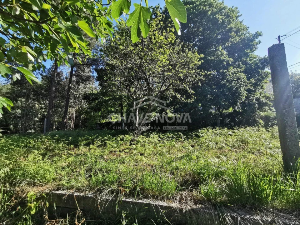 Terreno P/ Prédio para Venda em Arouca e Burgo Foto 5