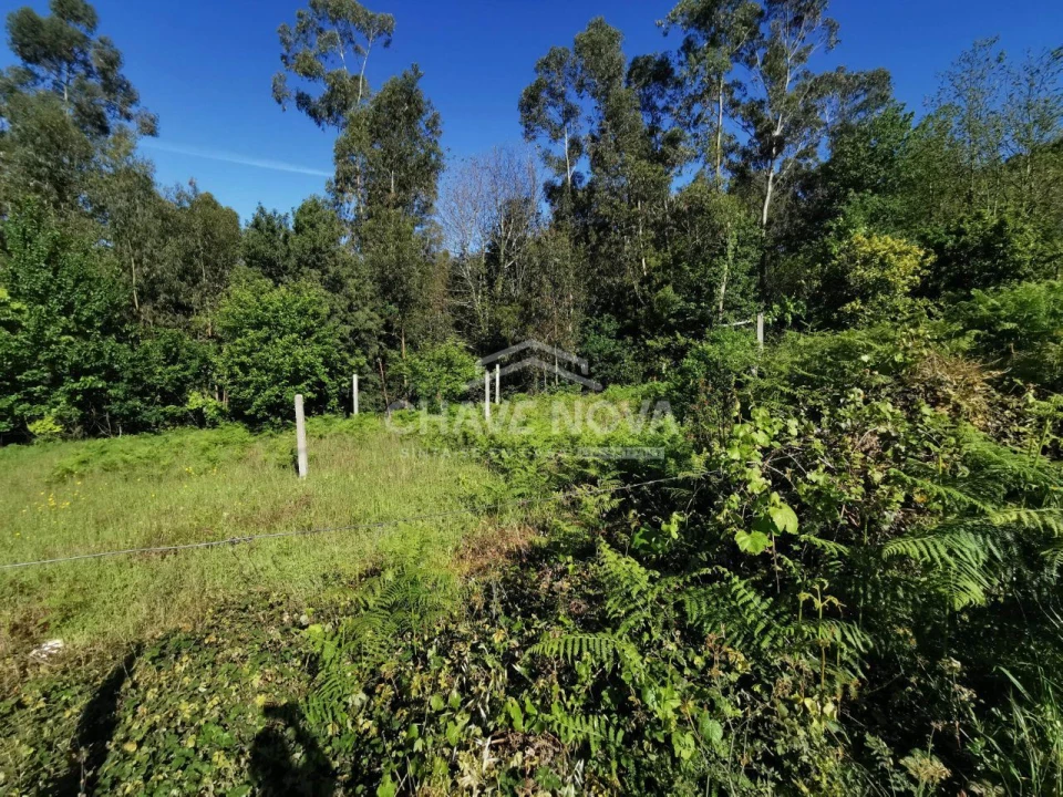 Terreno P/ Prédio para Venda em Arouca e Burgo Foto 13