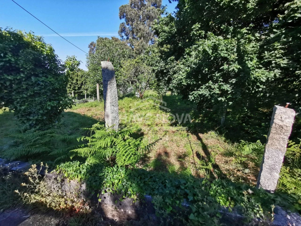 Terreno P/ Prédio para Venda em Arouca e Burgo Foto 15