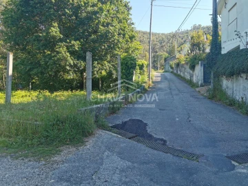 Terreno P/ Prédio para Venda em Arouca e Burgo