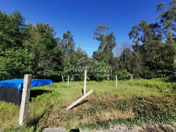Terreno P/ Prédio para Venda em Arouca e Burgo
