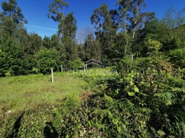 Terreno P/ Prédio para Venda em Arouca e Burgo