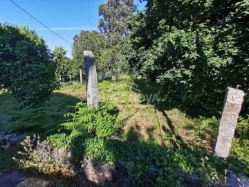 Terreno P/ Prédio para Venda em Arouca e Burgo