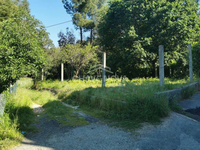 Terreno P/ Prédio para Venda em Arouca e Burgo Foto 2