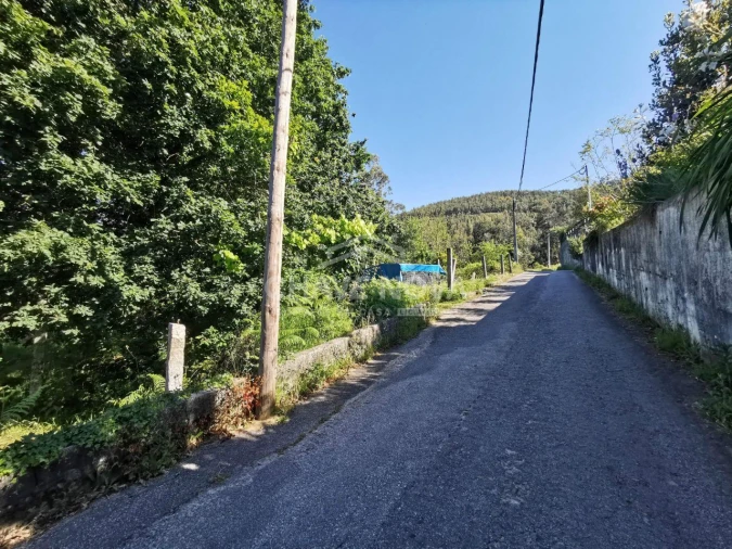 Terreno P/ Prédio para Venda em Arouca e Burgo Foto 6