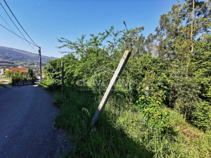 Terreno P/ Prédio para Venda em Arouca e Burgo Foto 11