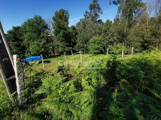 Terreno P/ Prédio para Venda em Arouca e Burgo Foto 12