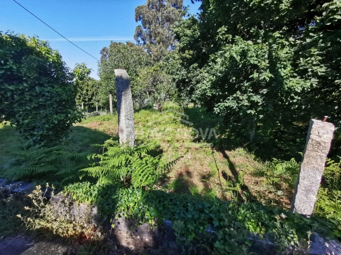 Terreno P/ Prédio para Venda em Arouca e Burgo Foto 15