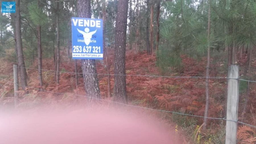 Terreno Agricola ou Rústico para Venda em Lanhoso Foto 2