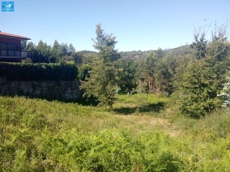 Terreno para Venda em Vilela Foto 3