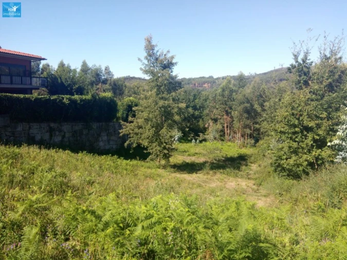 Terreno para Venda em Vilela Foto 3