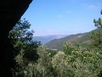 Terreno Misto para Venda em Louredo