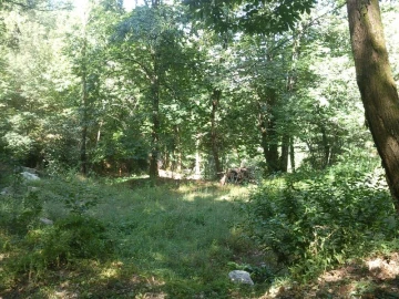 Terreno Misto para Venda em Louredo