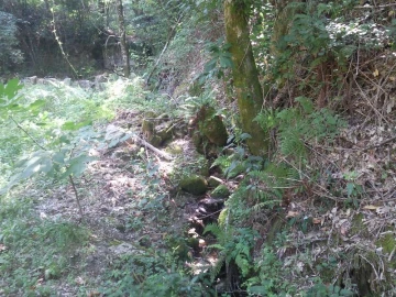 Terreno Misto para Venda em Louredo