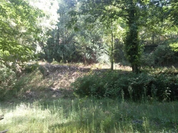 Terreno Misto para Venda em Louredo