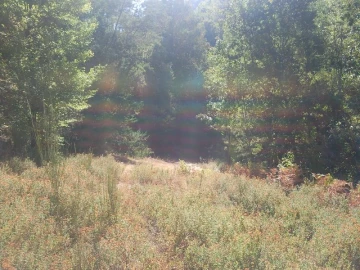 Terreno Misto para Venda em Louredo